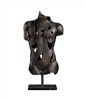 Torso