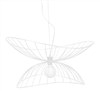 Ray