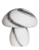 Mira Mushroom