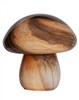Mira Mushroom