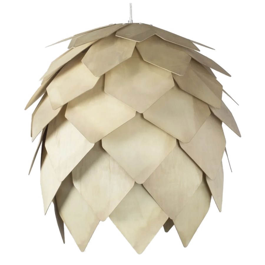 Cone natur